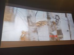 -万达影城(大明宫万达广场IMAX店)