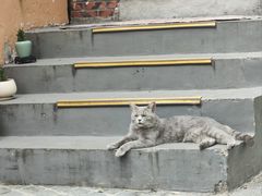-猫岛主趣味餐厅(鼓浪屿店)