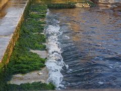 -圣马尔谷圣殿宗主教座堂