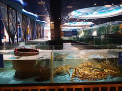 水产区-都市阳光海鲜城(青山湖店)