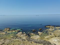 -养马岛旅游度假区