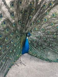 -萌宠亲子动物乐园(槐房万达店)