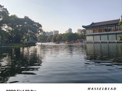 -荔湾湖公园