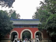 -灵谷景区