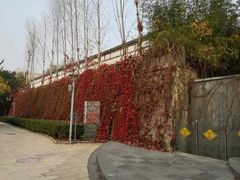 -蟒山（北京）会议中心