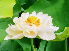 -莲池书院博物馆