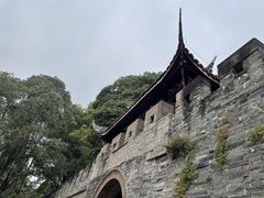-桂湖森林公园