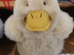 -川香煲(茅台路店)