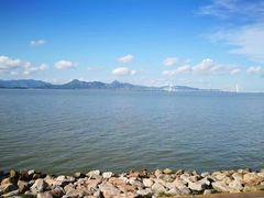 -深圳湾公园(南山区)