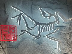 -ARC'TERYX始祖鸟(北京王府中环店)