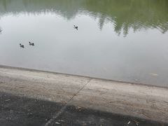 -滴水岩森林公园