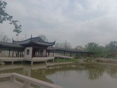 -上海滨江森林公园