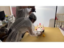 -玛瑞莎·儿童·亲子摄影(越秀店)