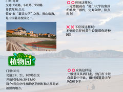 -中山路步行街