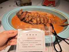 -阿五黄河大鲤鱼(英协路店)