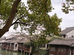 -乌镇景区