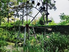 -合肥滨湖国家森林公园