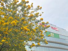 -奥园广场(广州番禺福德路店)