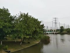 -九里河湿地公园