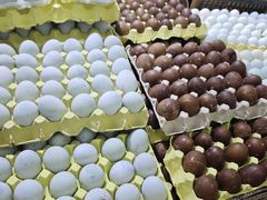 -利群商厦(台东店)