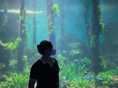 -石家庄海洋公园