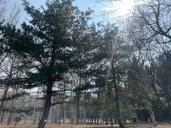 -太阳宫足球俱乐部