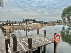 -太湖湖滨国家湿地公园-停车场