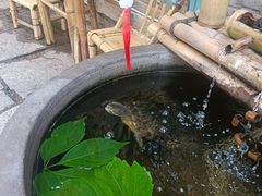 -卧龙堡客栈·中餐厅(古北水镇店)