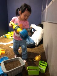 -幻贝家儿童乐园(苏州中心店)