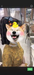 -薇咖映画婚纱摄影工作室