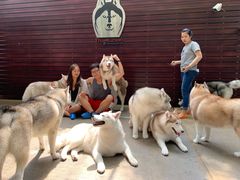-TrueLove @ Neverland (Husky Cafe)