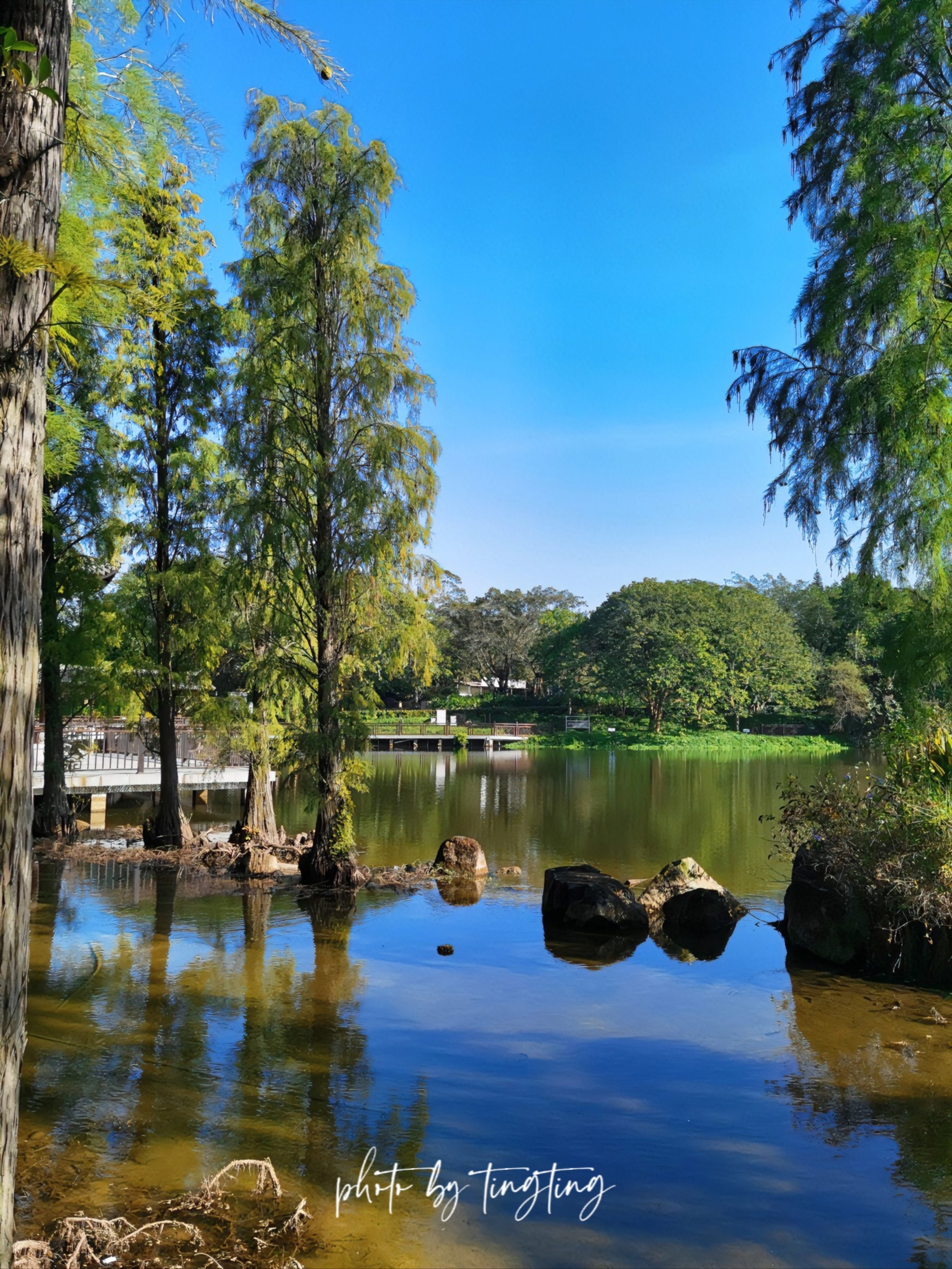 潮州饶平绿岛山庄