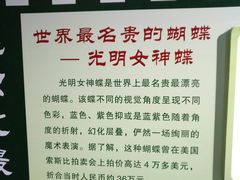 -上海昆虫博物馆