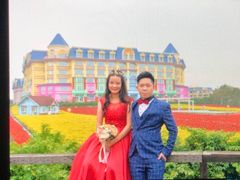 -百万葵园