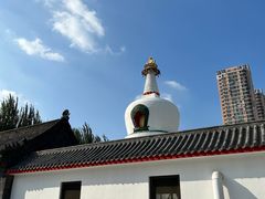 -西塔