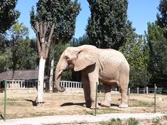 -石家庄市动物园