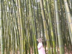 -苏州河梦清园环保主题公园