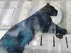 -上方山森林动物世界