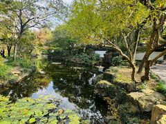 -秋霞圃