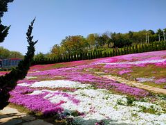 -棒棰岛宾馆景区