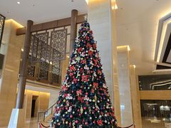 -北京首都机场希尔顿酒店