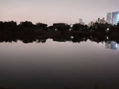 -福田红树林生态公园