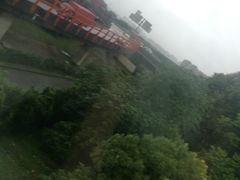 -自然谷恐龙园