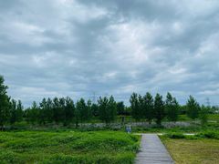 -洨河生态公园
