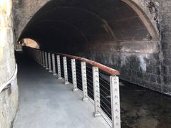 -白水寺森林公园
