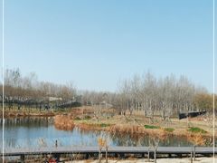 -东郊湿地公园