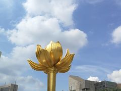 -金莲花广场