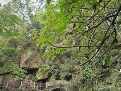 -莫干山风景区