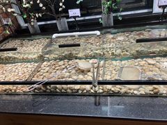 -韩盛·盛江山自助料理(于洪新玛特店)