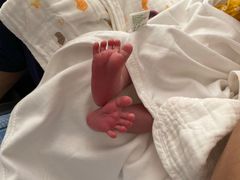 -天津医科大学第二医院